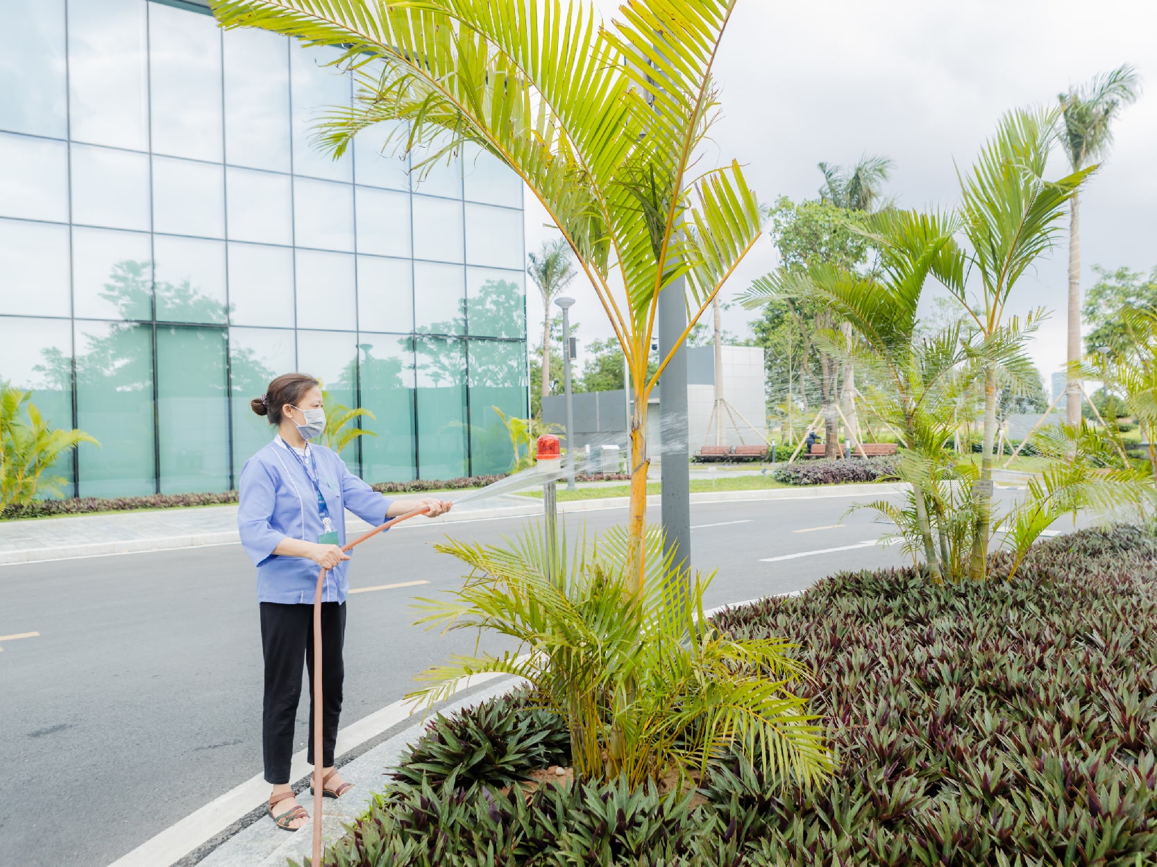 DỰ ÁN DUY TRÌ VỆ SINH NGOẠI CẢNH LOTTE TÂY HỒ